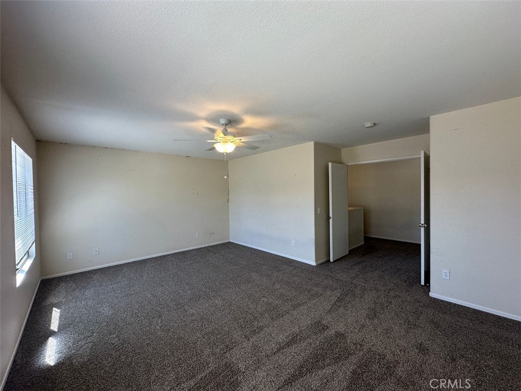 24886 Tigris Lane