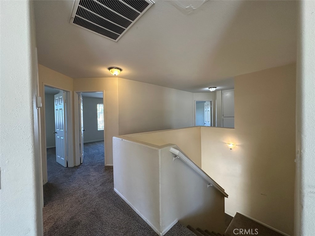 24886 Tigris Lane