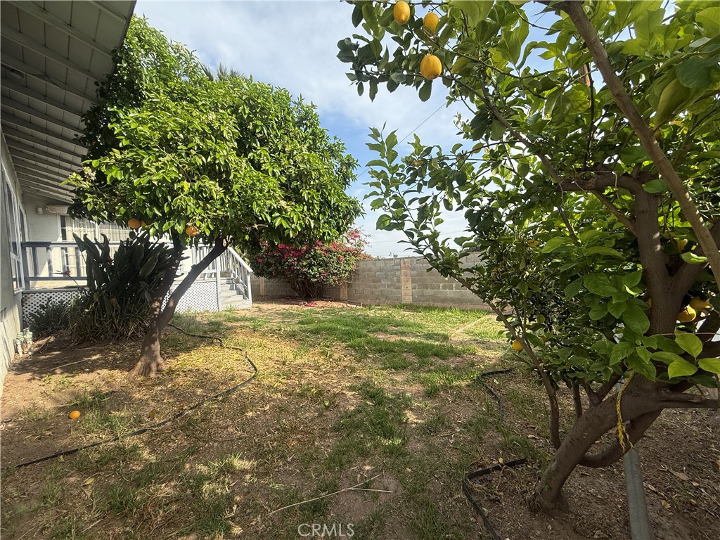 1319 Delmonica Avenue
