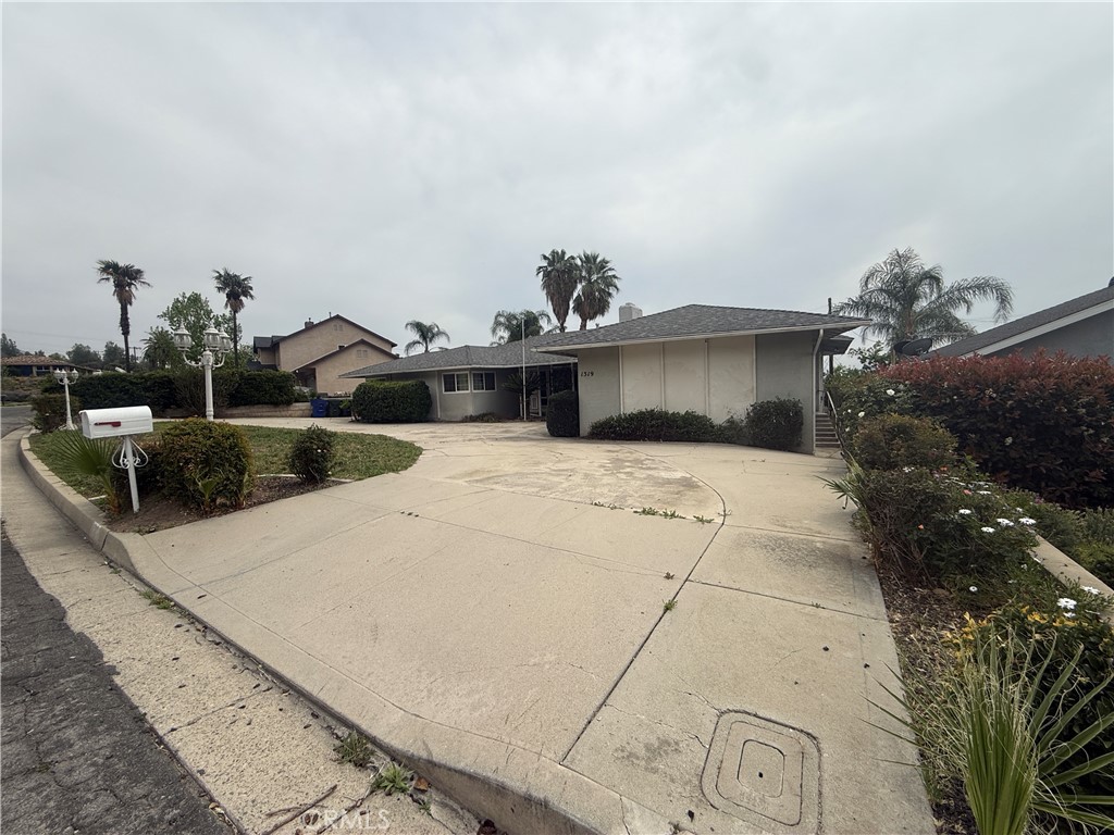 1319 Delmonica Avenue