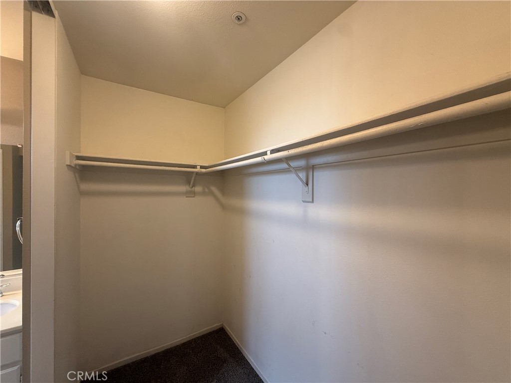 1420 Sunswept Drive