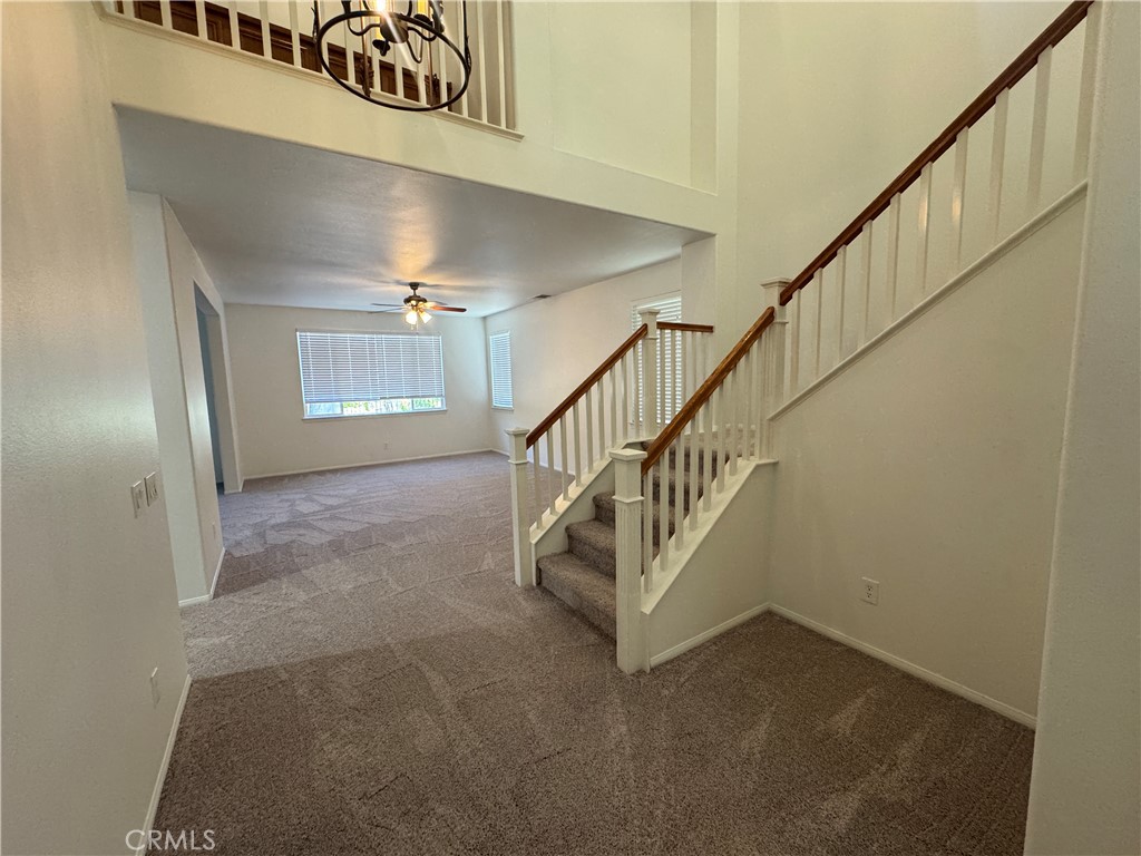 31450 Pear Blossom Circle