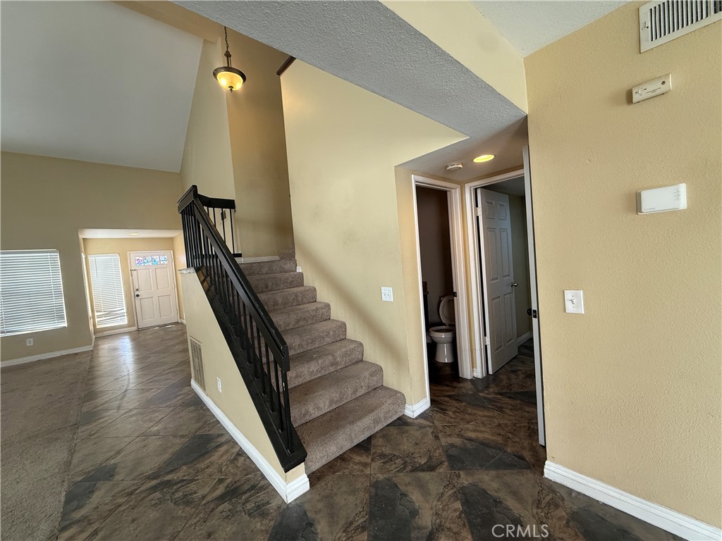 23768 Timber Bluff Court