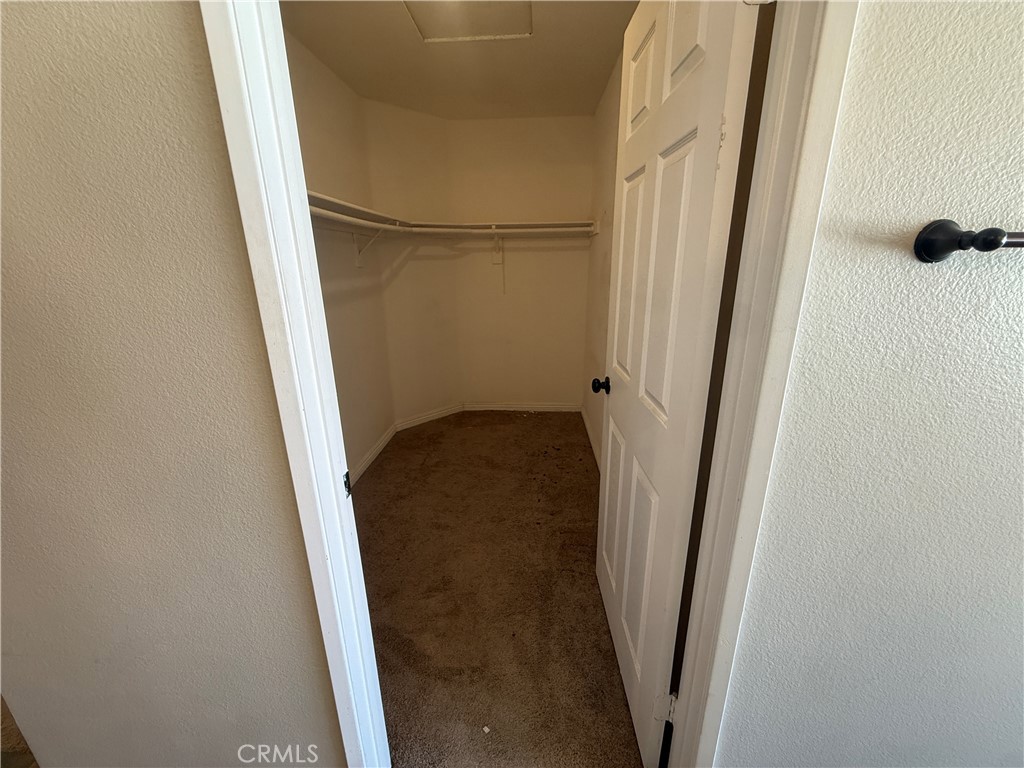 23768 Timber Bluff Court
