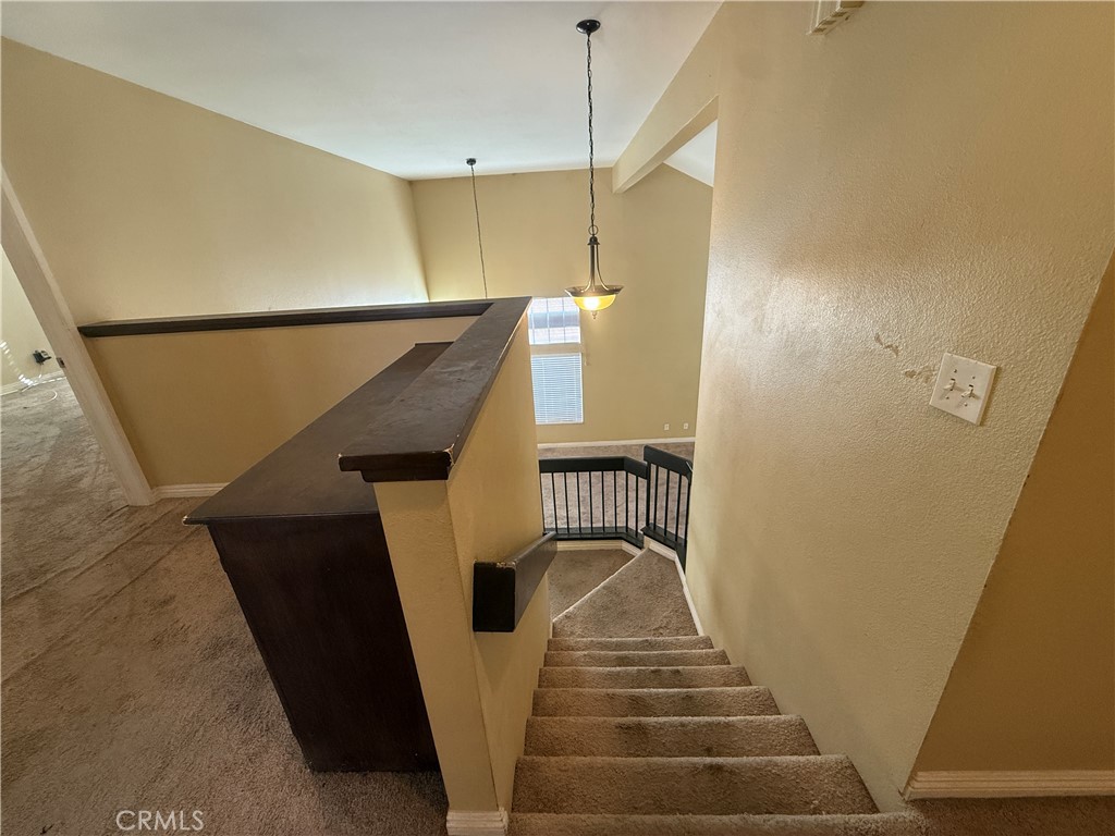 23768 Timber Bluff Court