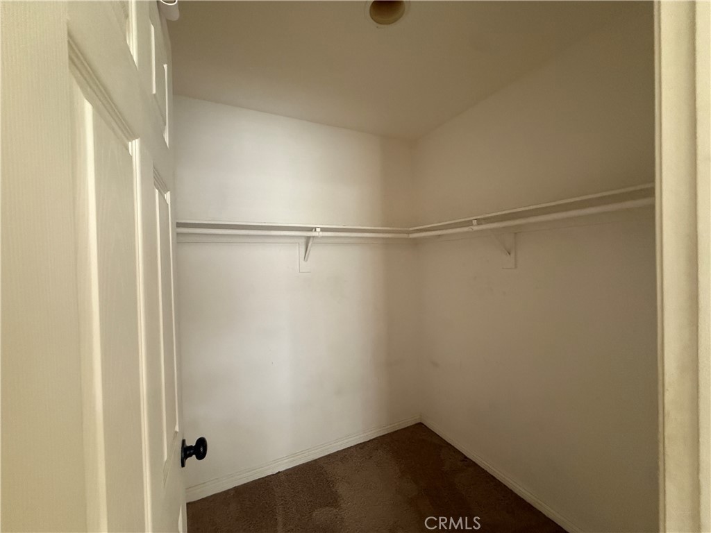 23768 Timber Bluff Court