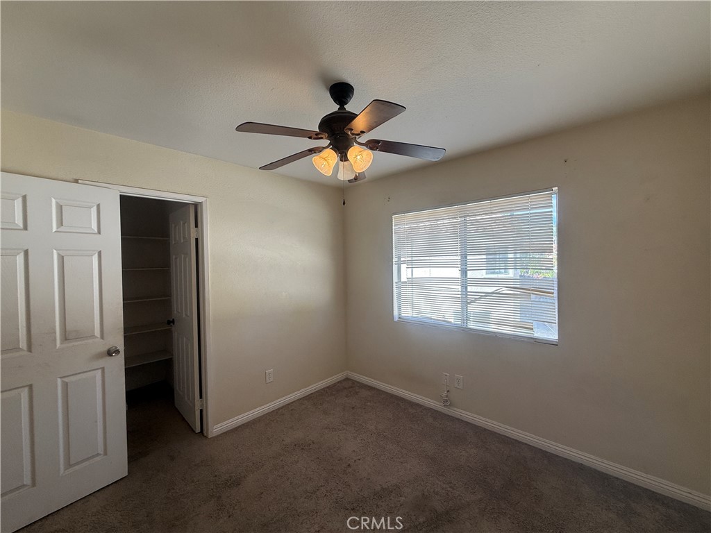 23768 Timber Bluff Court
