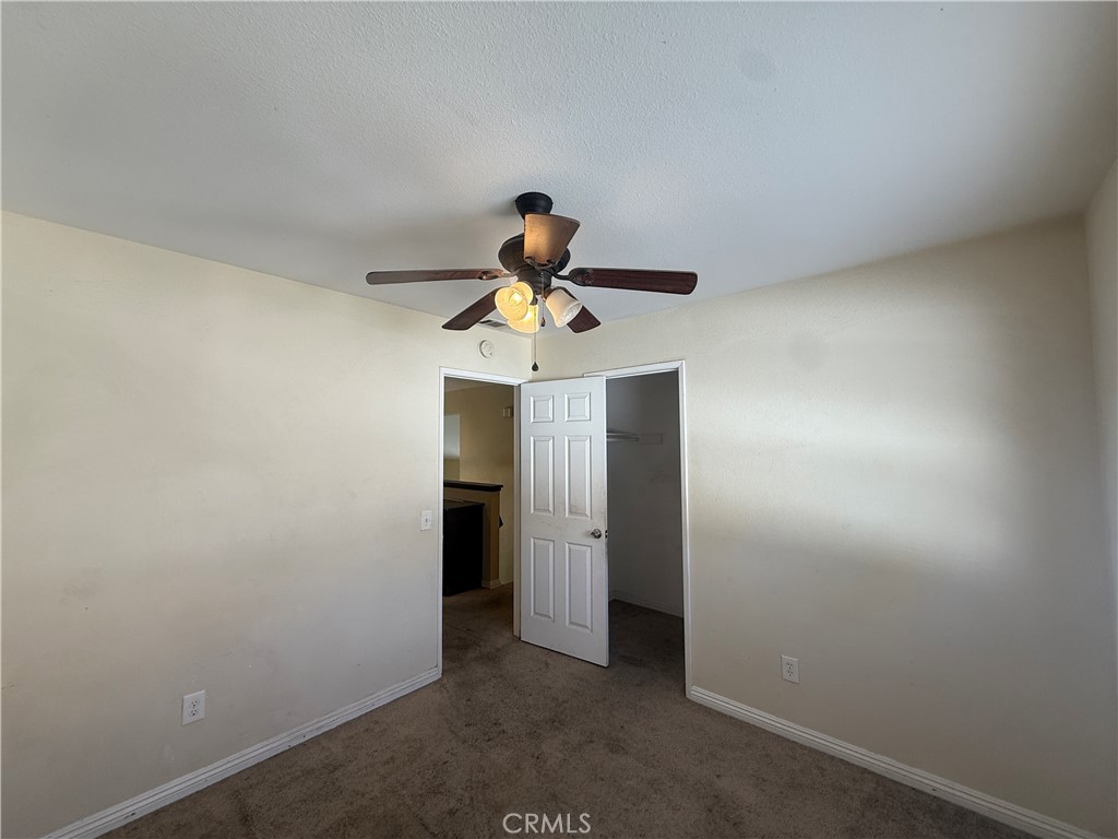 23768 Timber Bluff Court