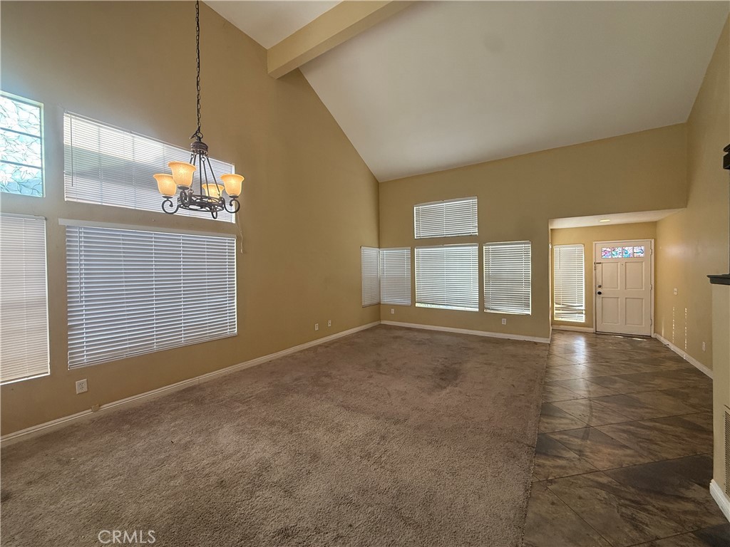 23768 Timber Bluff Court