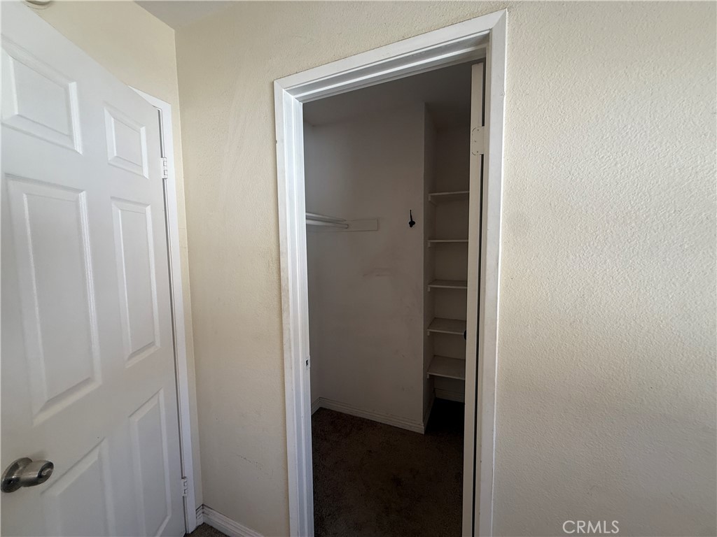23768 Timber Bluff Court