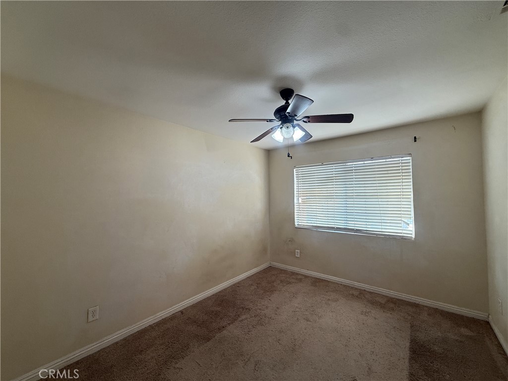 23768 Timber Bluff Court