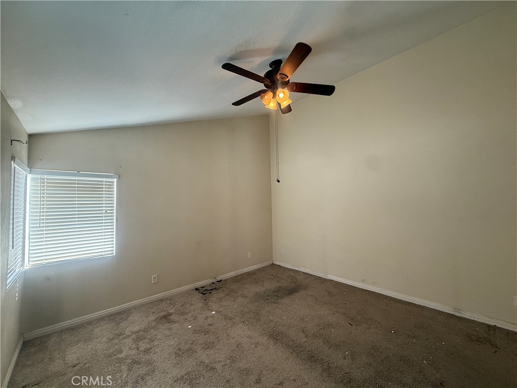 23768 Timber Bluff Court