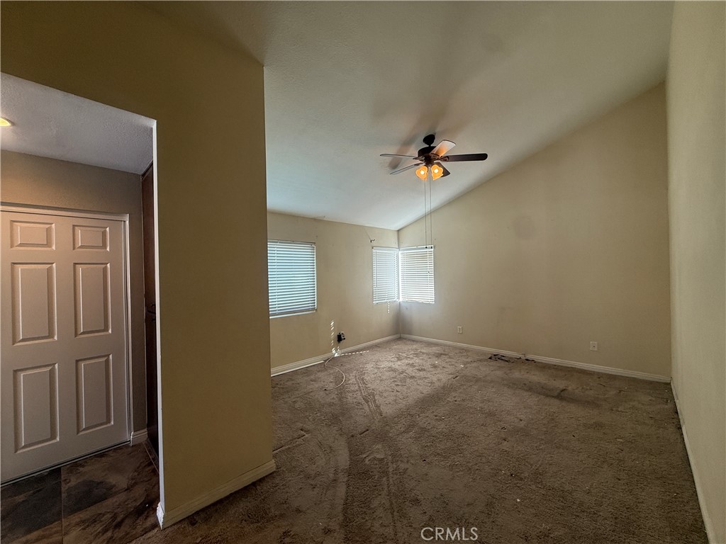 23768 Timber Bluff Court