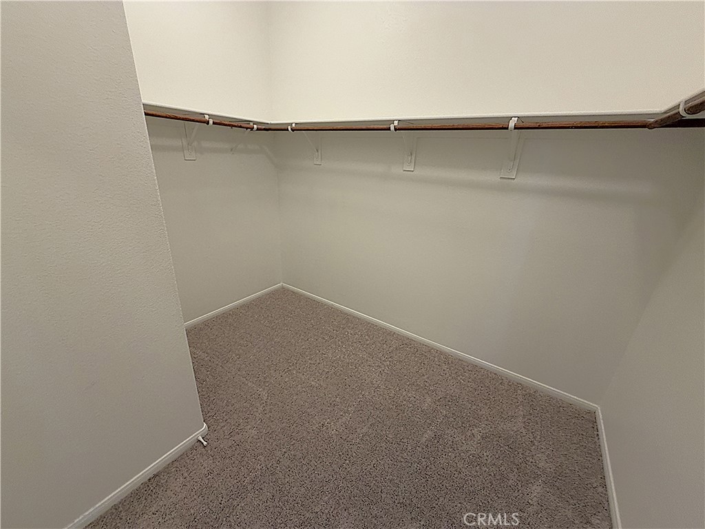 524 Trefoil Court