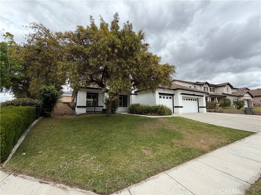 33950 Indigo Place