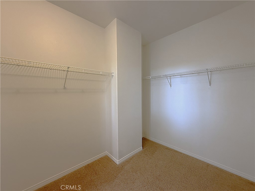 25165 Wolcott Court