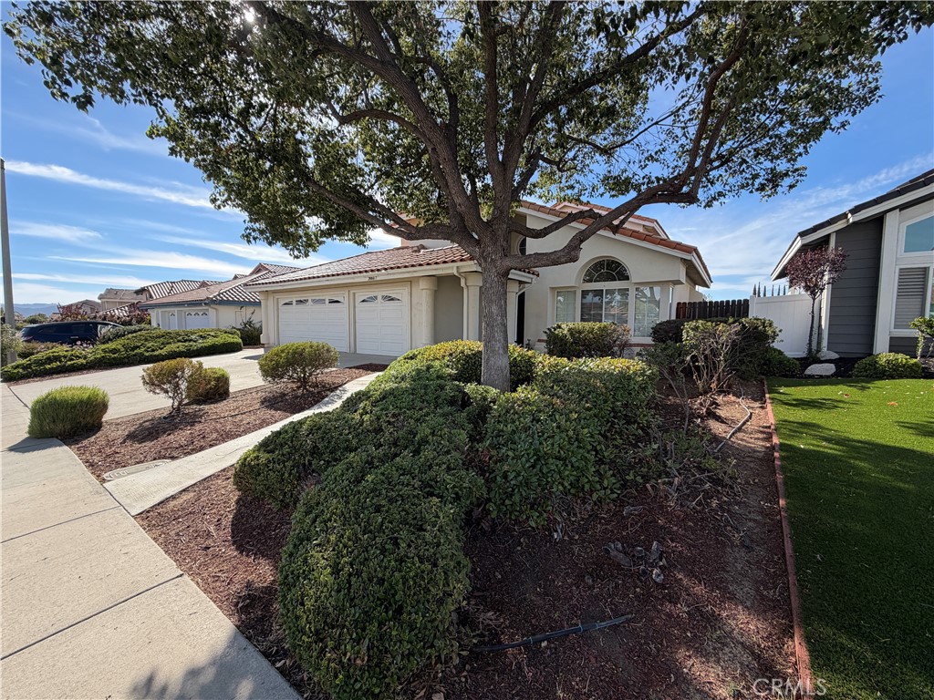 39697 Casandra Court