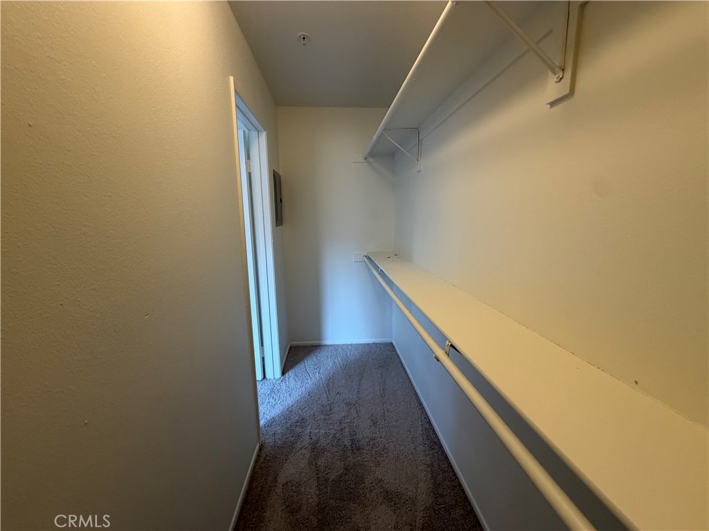 33551 Winston Way B