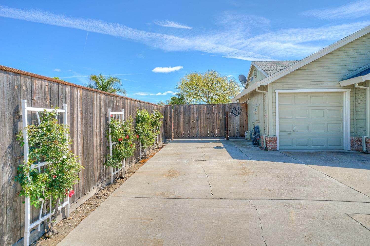Concrete driveway beside a light-colored house, enclosed by a wooden fence with flowering trellises.