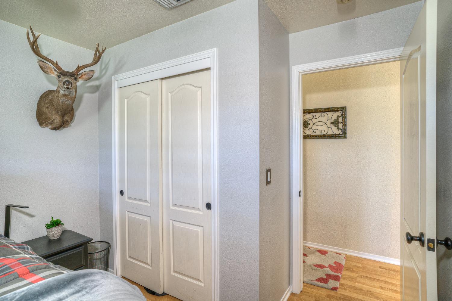Bedroom with white closet doors, a mounted deer head, and an open doorway to the hall.