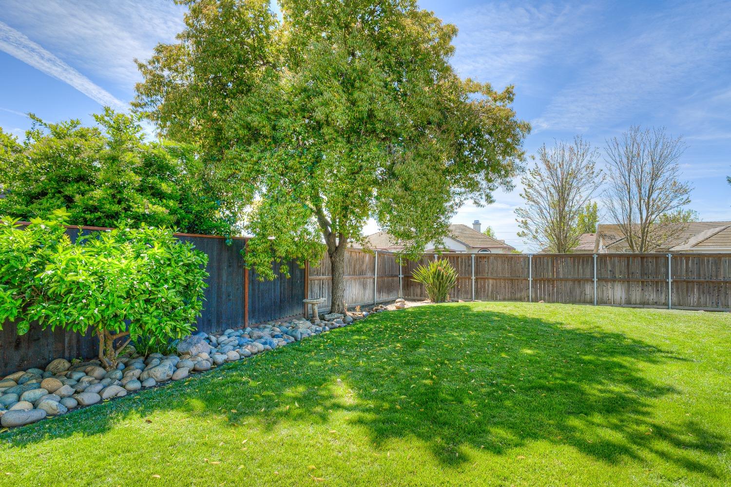 Backyard with a broad lawn, mature shade tree, rock border, and wooden fence.