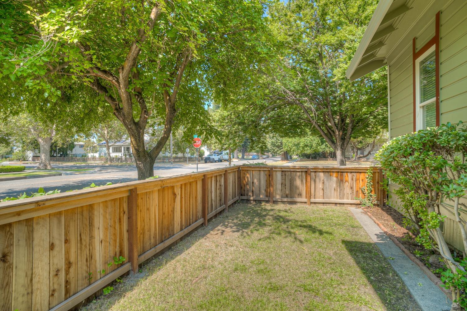 Fenced side yard with a narrow walkway, patchy lawn, and mature shade trees.