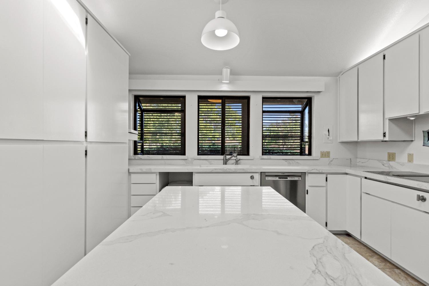 313 Walnut Tree Drive