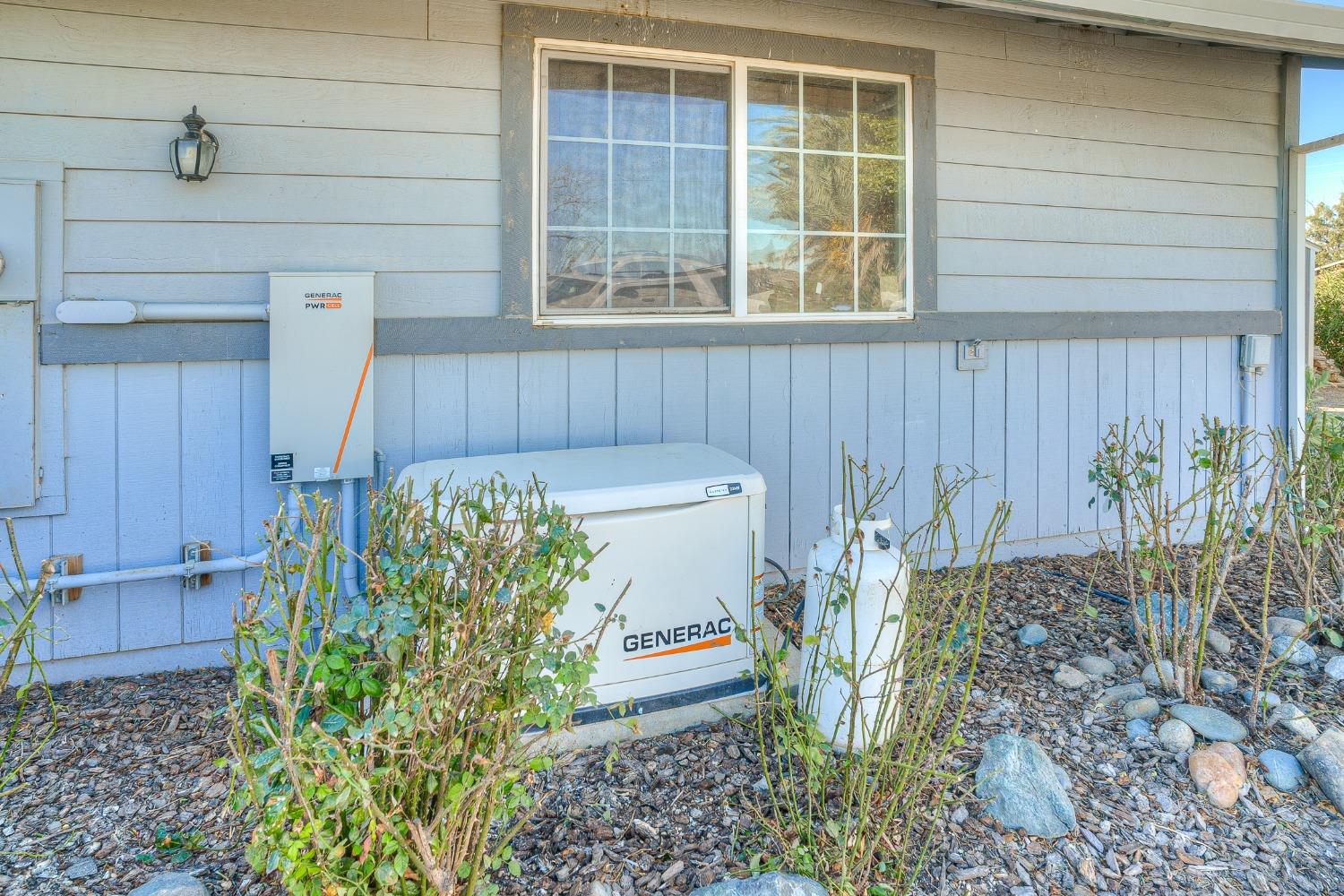 Standby generator beside a blue-sided house, with a window above and shrubs in front.