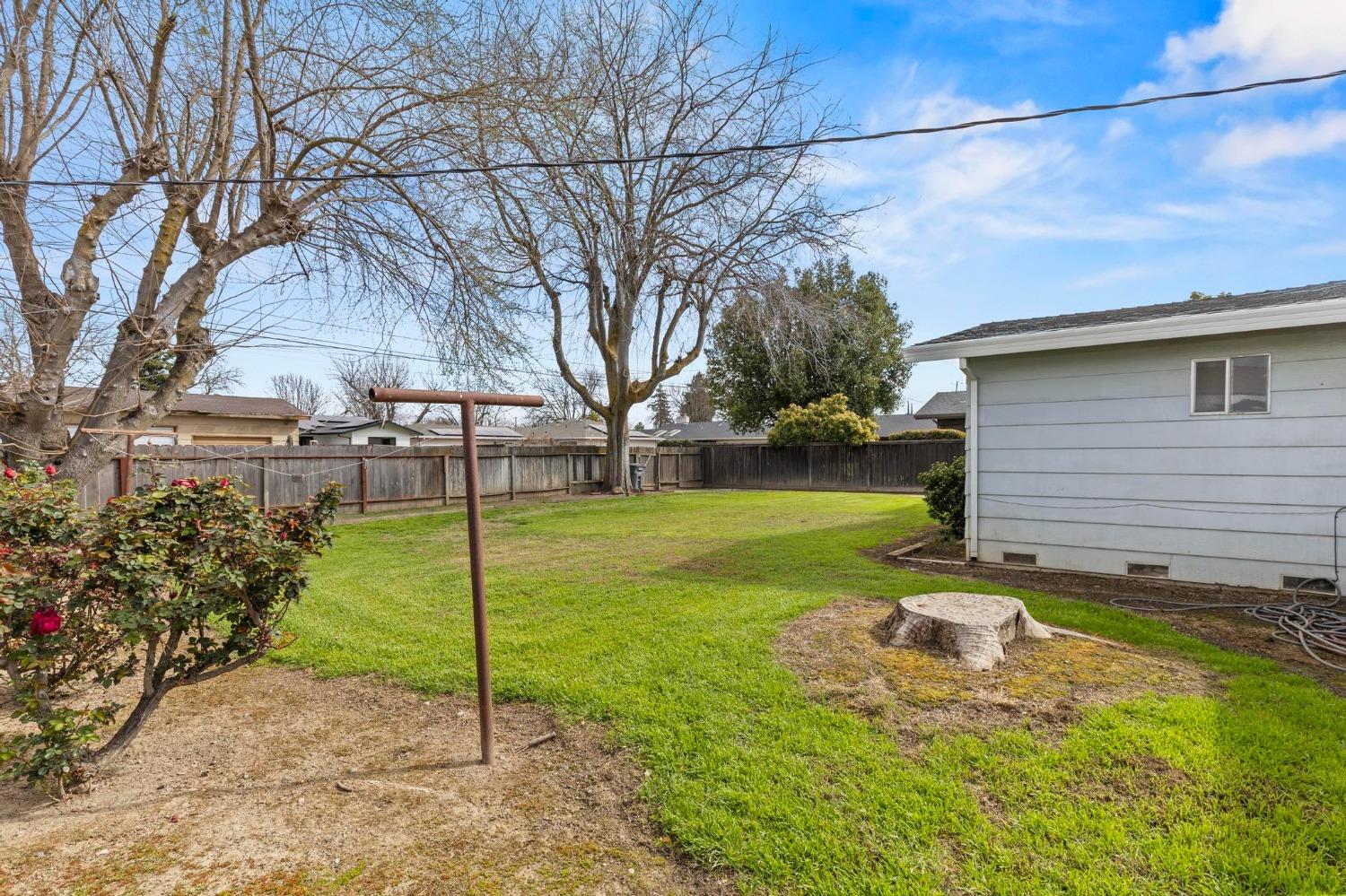 Backyard with a broad lawn, leafless trees, wooden fence, and tree stump.