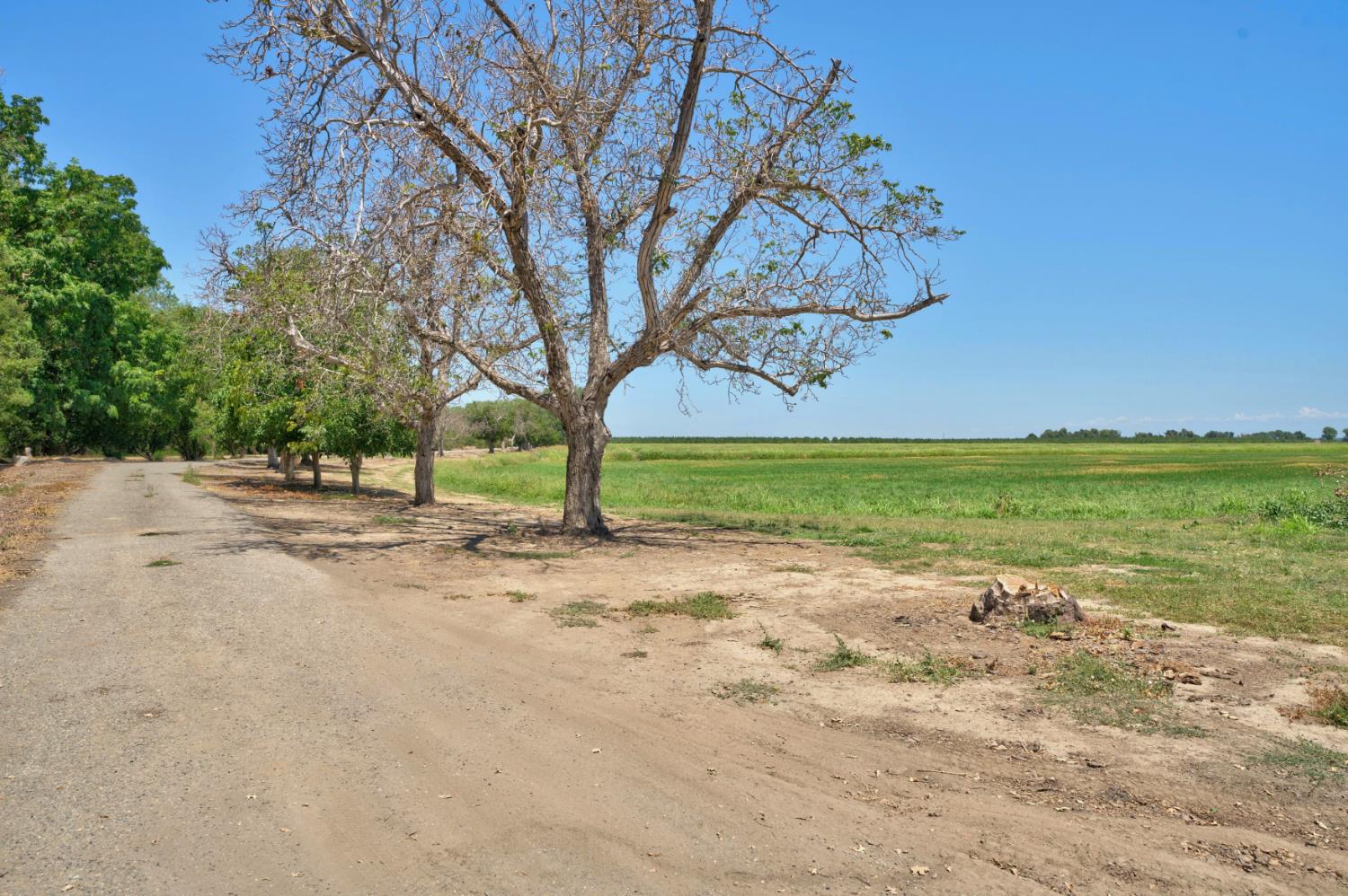 3878 River Road