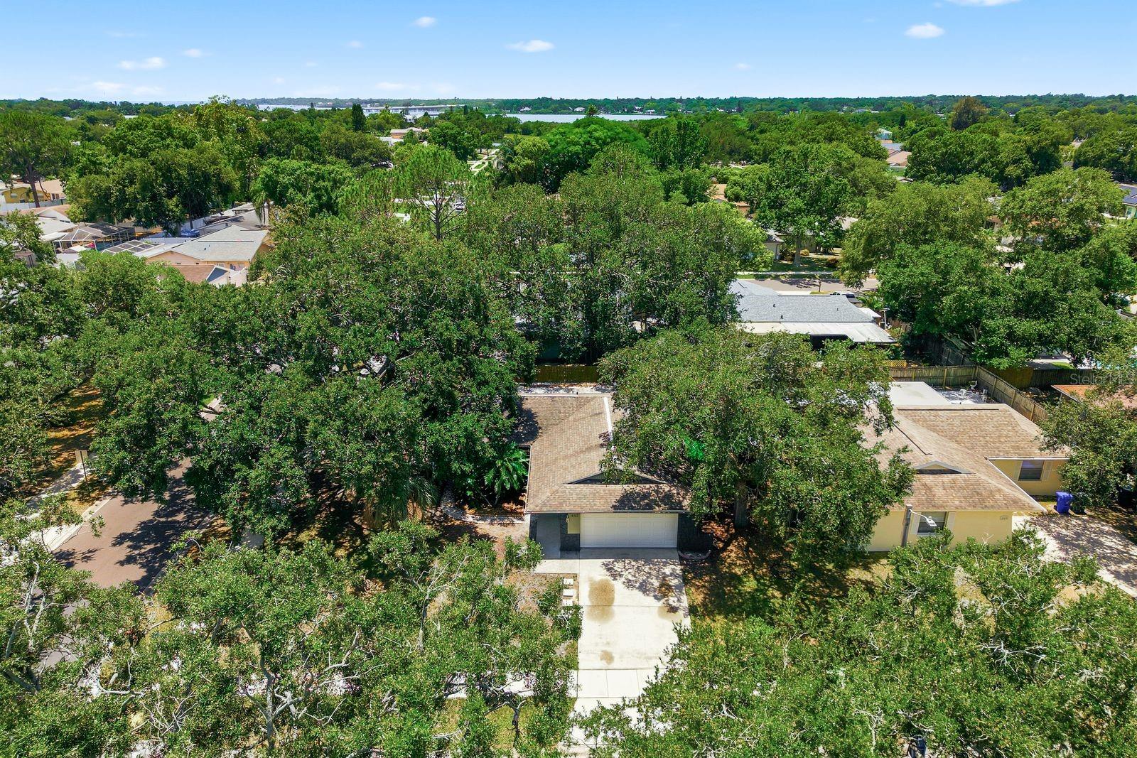 442 EVERGREEN DR