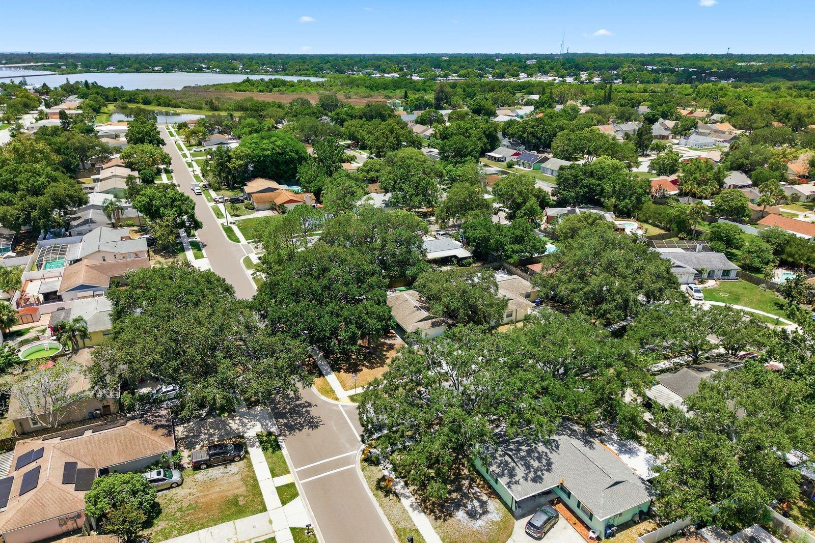 442 EVERGREEN DR
