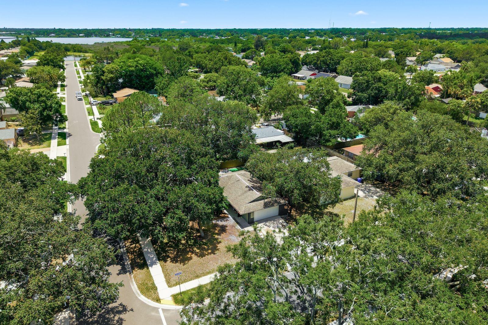 442 EVERGREEN DR