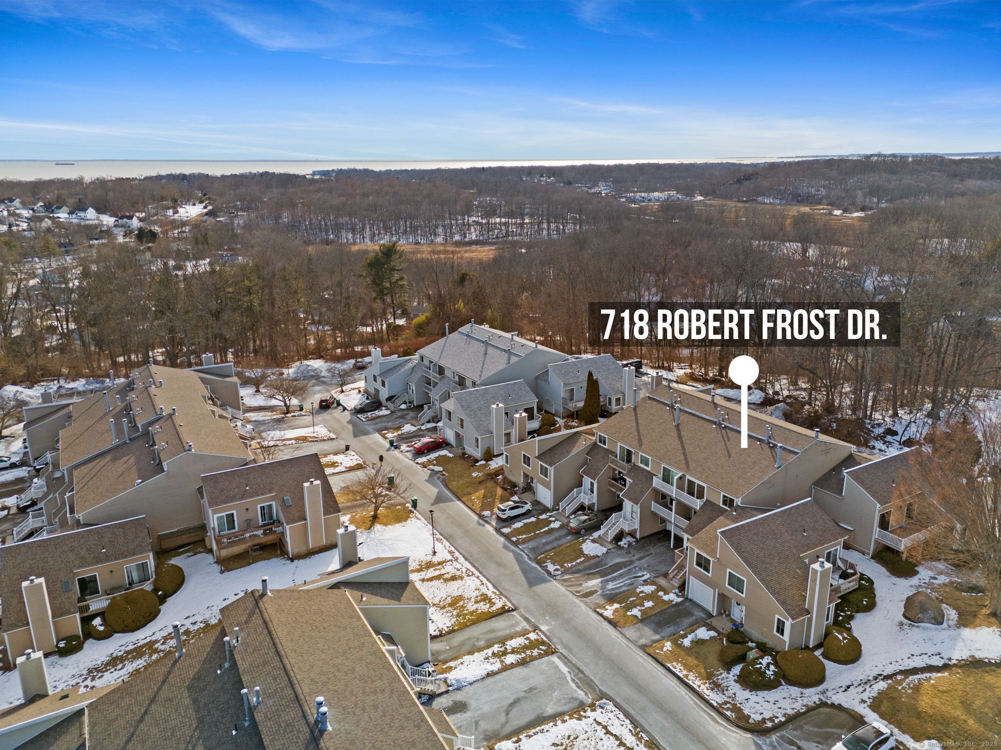 718 Robert Frost Drive 718