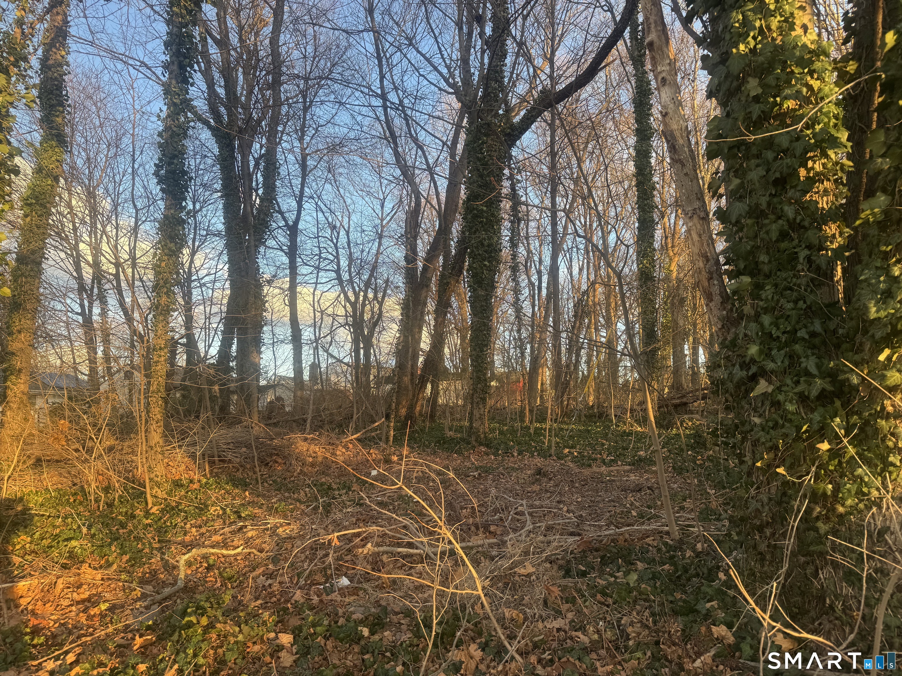 305 Grandview Avenue