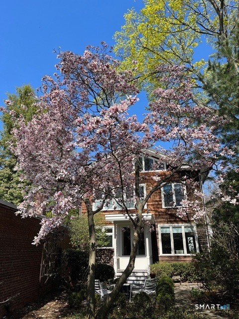 38 Eld Street