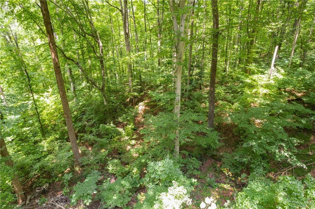 385 Grimes Bridge Road