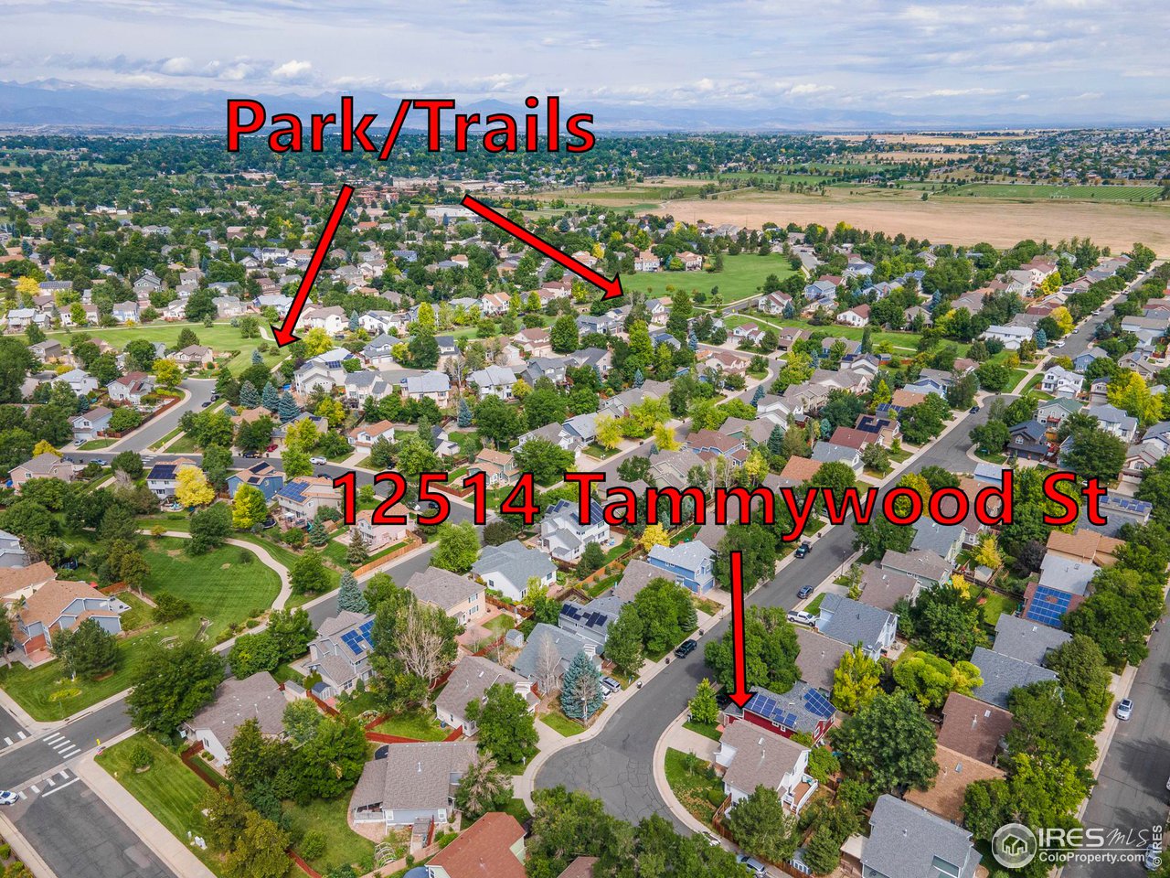 12514 Tammywood St