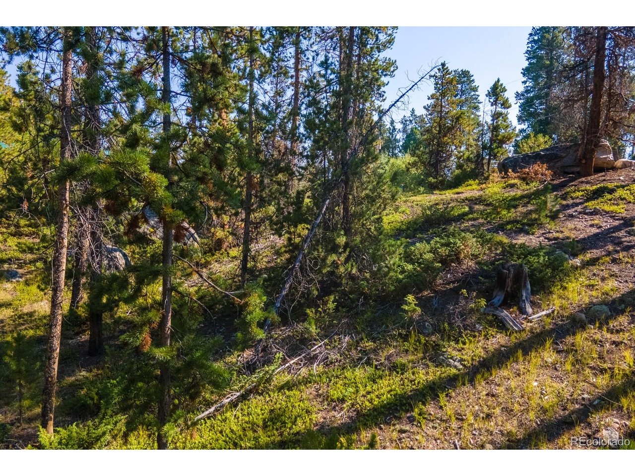917 Tallaqua Dr