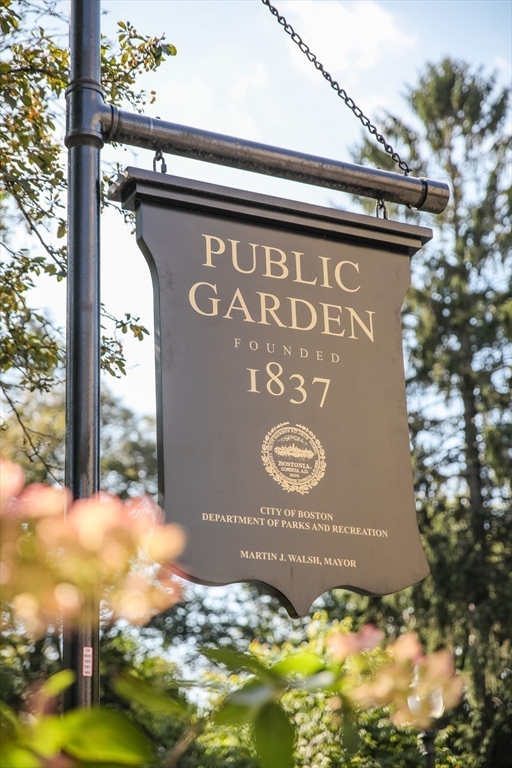 300 Boylston Street # 1206