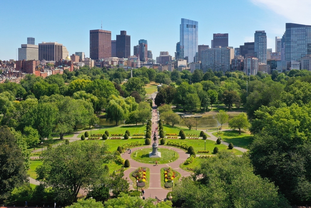 300 Boylston Street # 1206