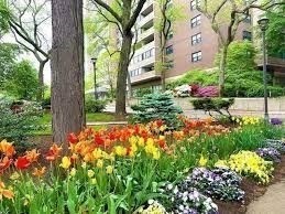 9 Hawthorne Place # 11B