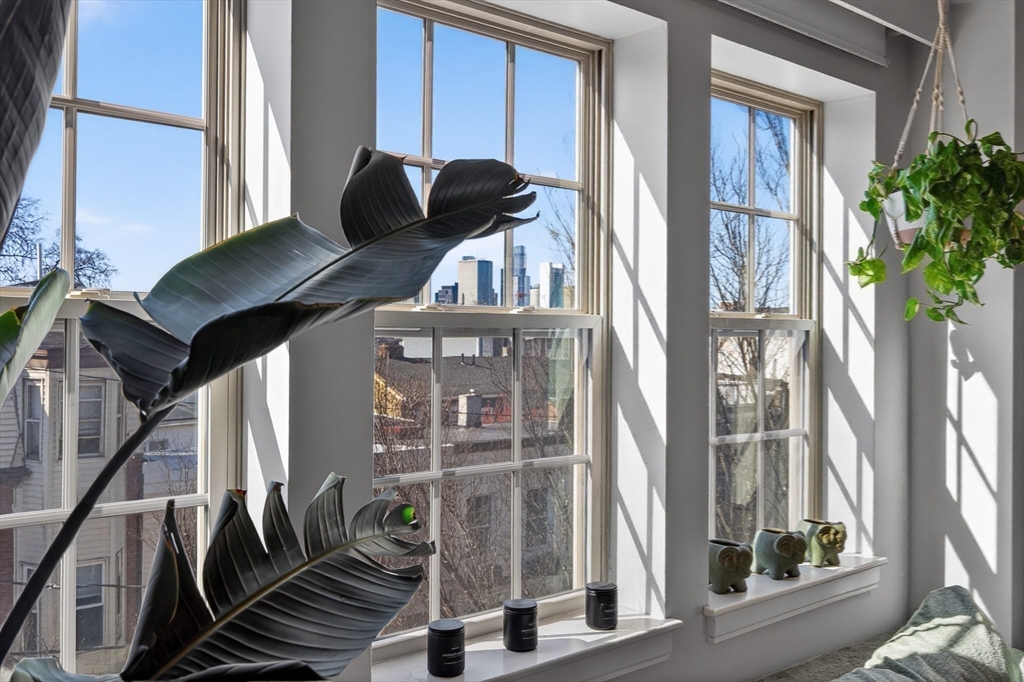 225 Dorchester St # 15