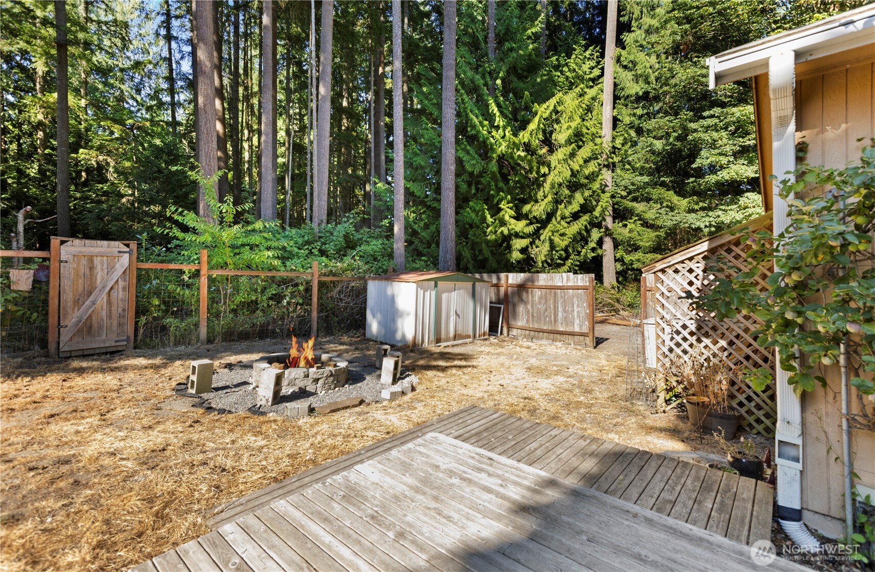 4141 Timberline Road