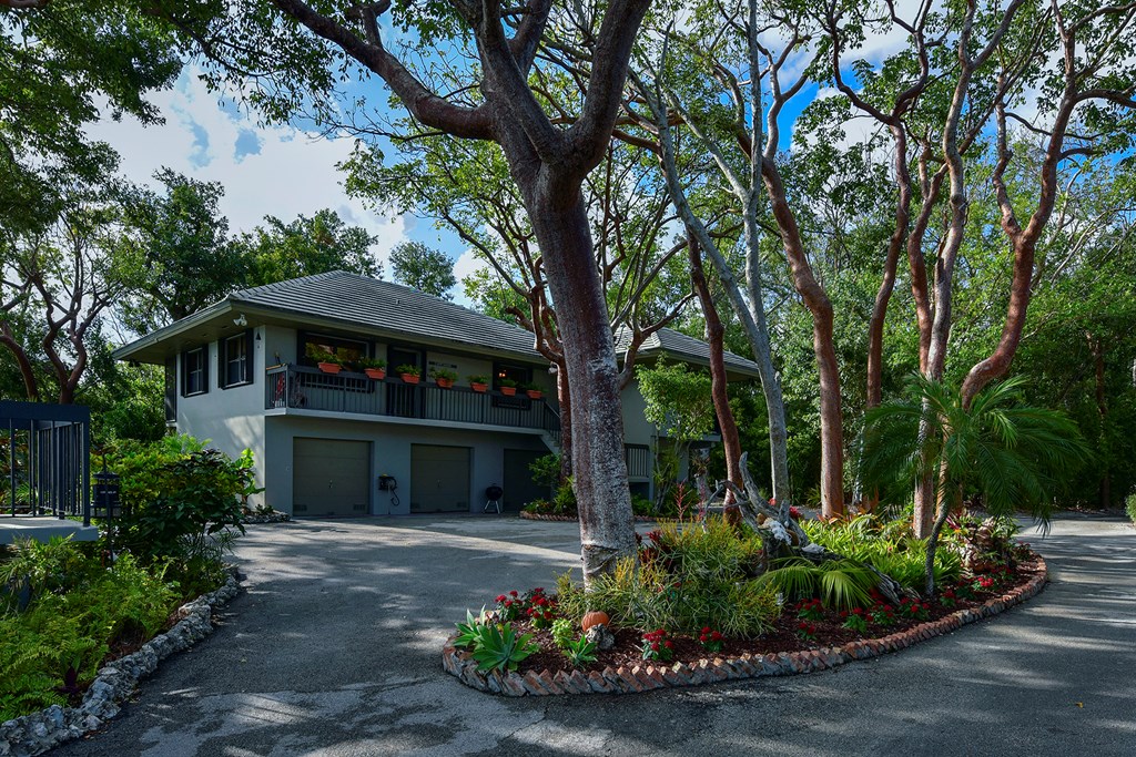 10 Cannon Point