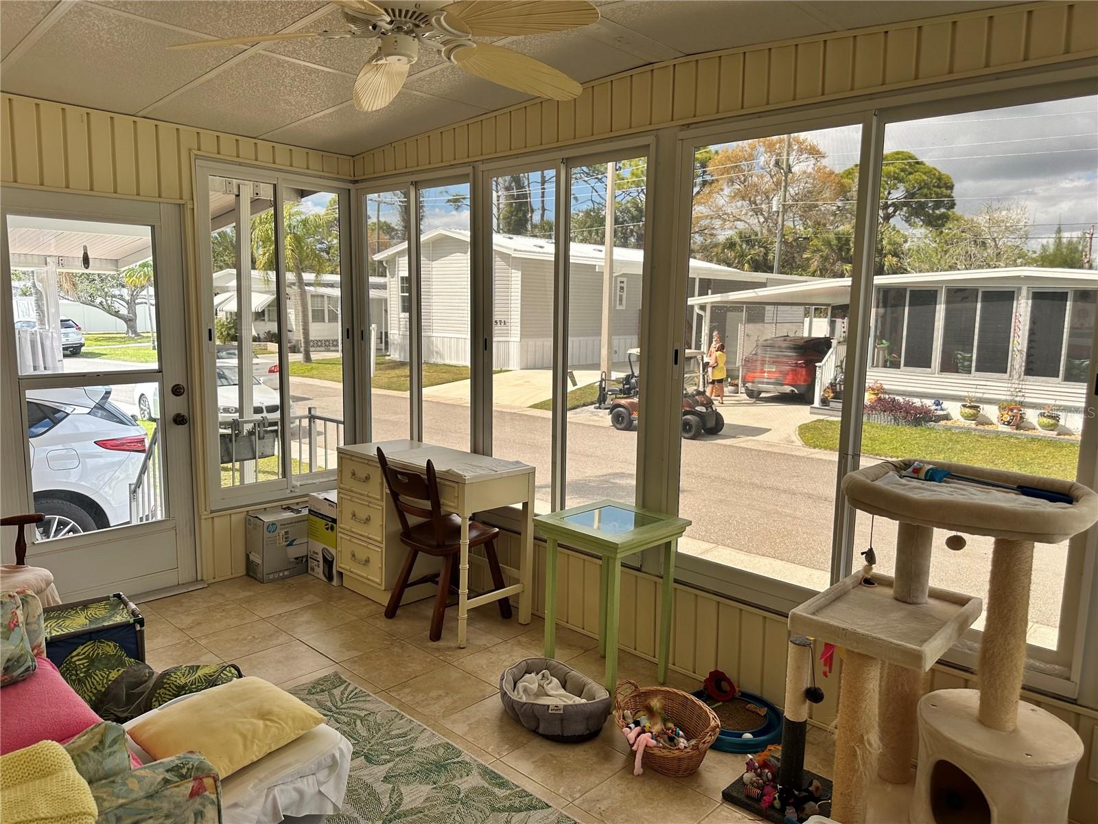 560 ORIENTAL POPPY DR