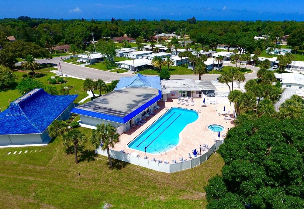 560 ORIENTAL POPPY DR