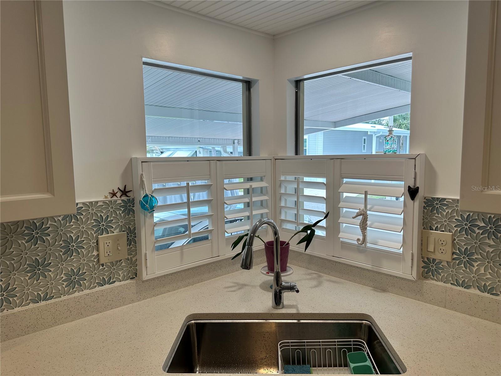 560 ORIENTAL POPPY DR