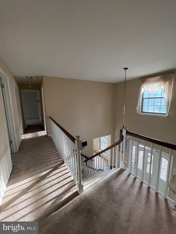 21 HOLLY OAK DRIVE