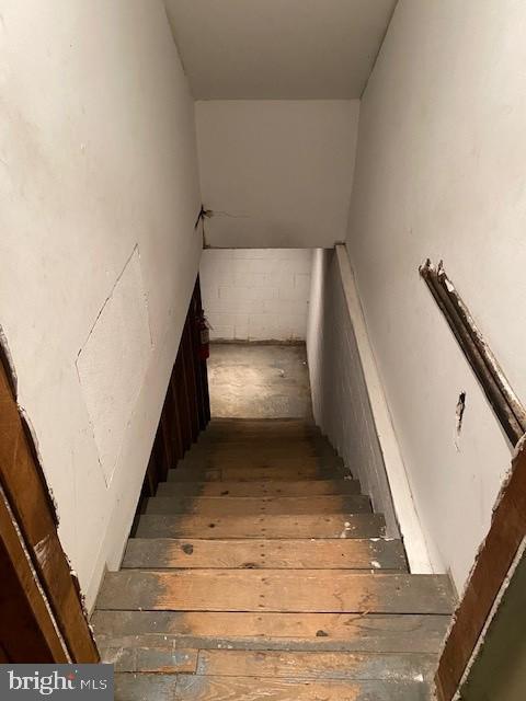 419 BLACK HORSE PIKE